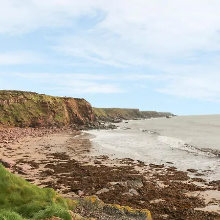 Driftwood Fethard on Sea